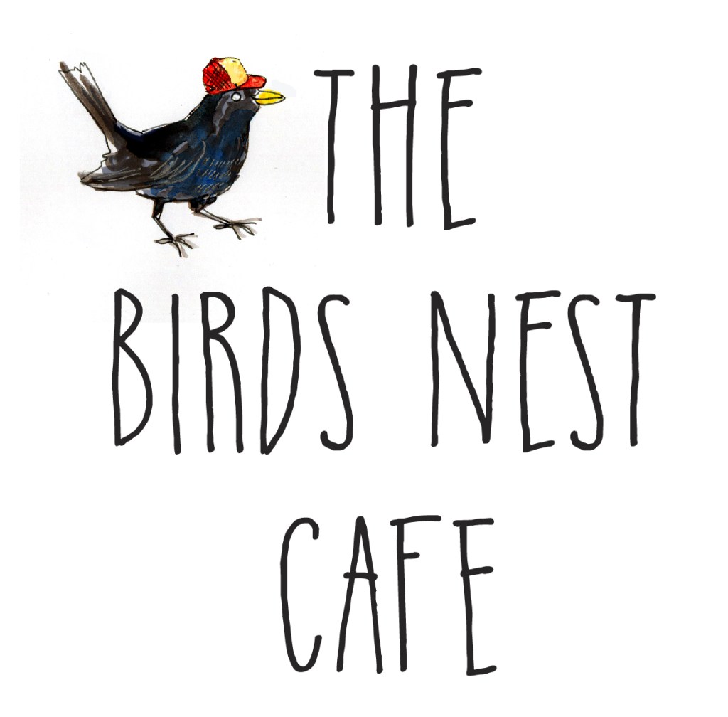 birdsnest square logo